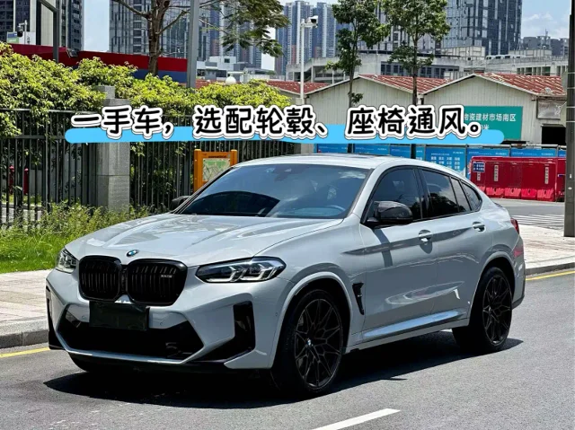 BMW X4 M X4 M Thunder Edition
