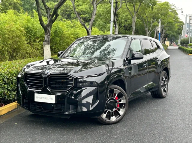 BMW XM Basic Type