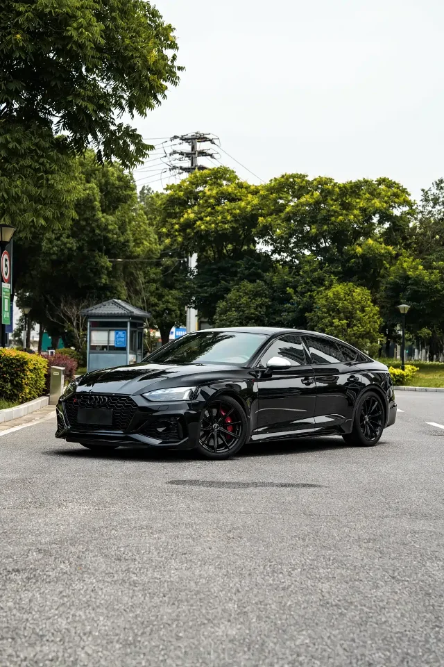 Audi RS 5 RS 5 2.9T Sportback