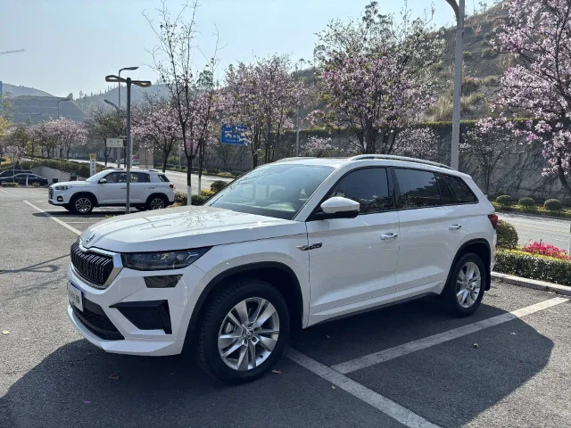 Skoda Kodiaq TSI330 5 seats 2WD Strength Edition