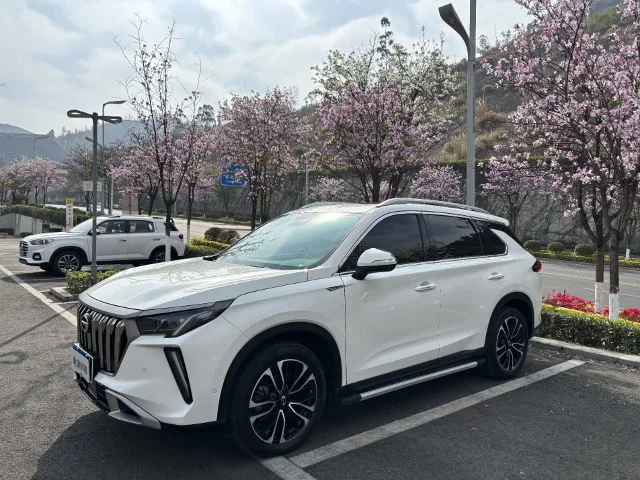 GAC Motor GS4 Plus 390T Auto Nebula Edition