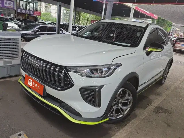 Haval Chitu Dynamic Enjoy Edition 1.5T Brass Rabbit