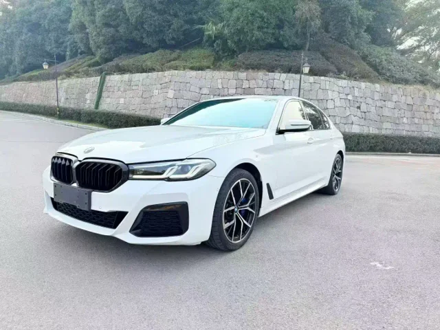 BMW 5 Series (Import) Facelift 530i M Sport Package