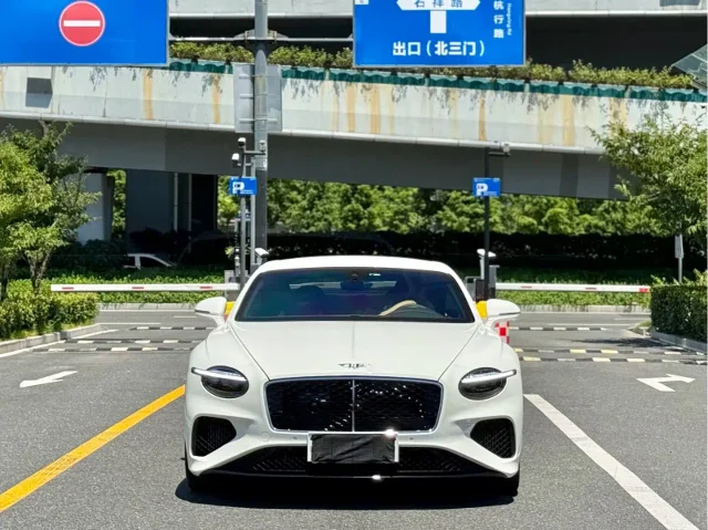 Bentley Continental PHEV GT Basic Type