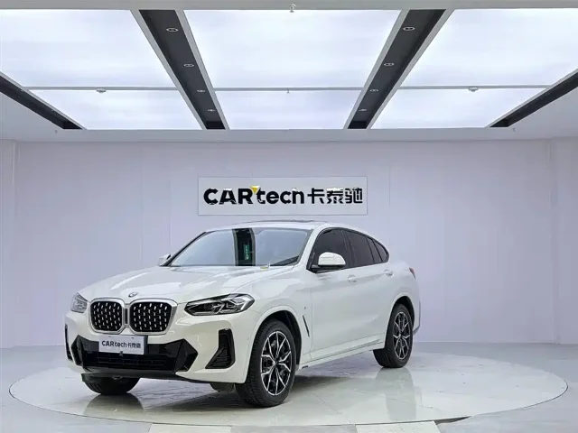 BMW X4 xDrive 25i M Sport Package