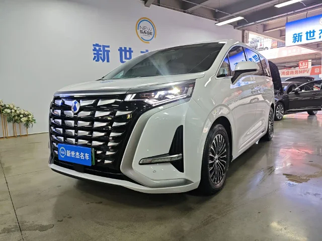 Denza D9 DM-i 1040 Premium Type