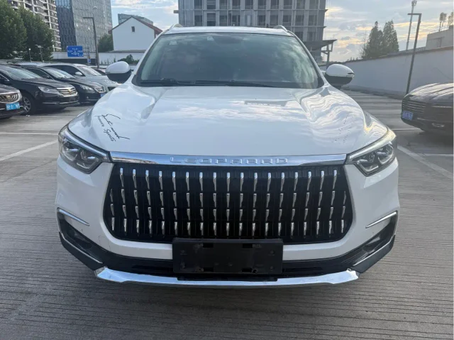 Leopaard Mattu 1.6T GDI DCT Premium Type