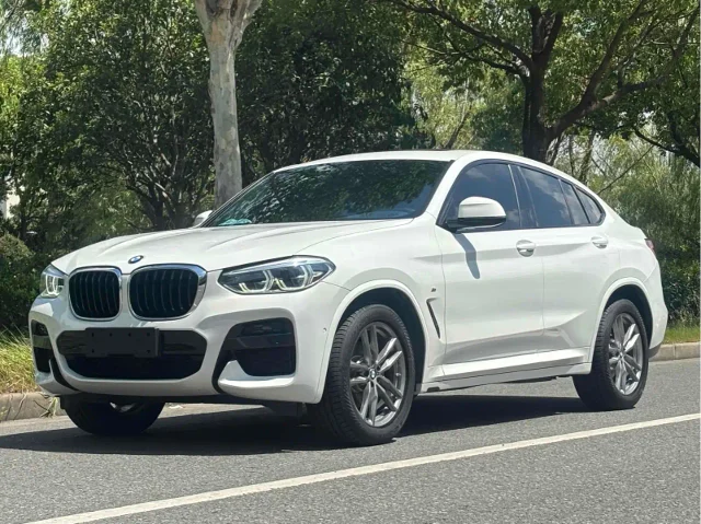BMW X4 xDrive25i M Sport Package