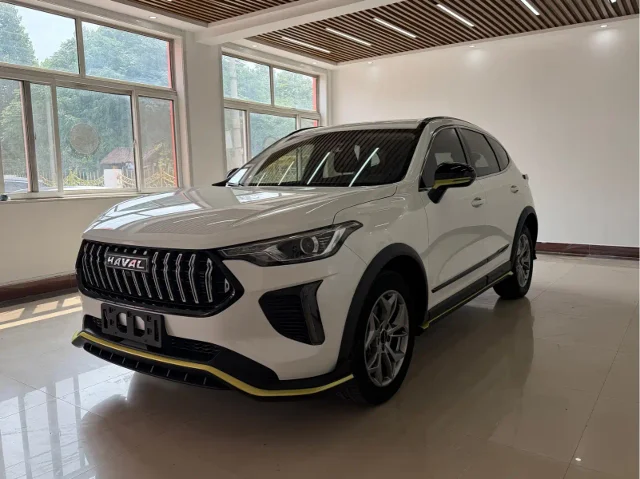 Haval Chitu Dynamic Enjoy Edition 1.5T Brass Rabbit