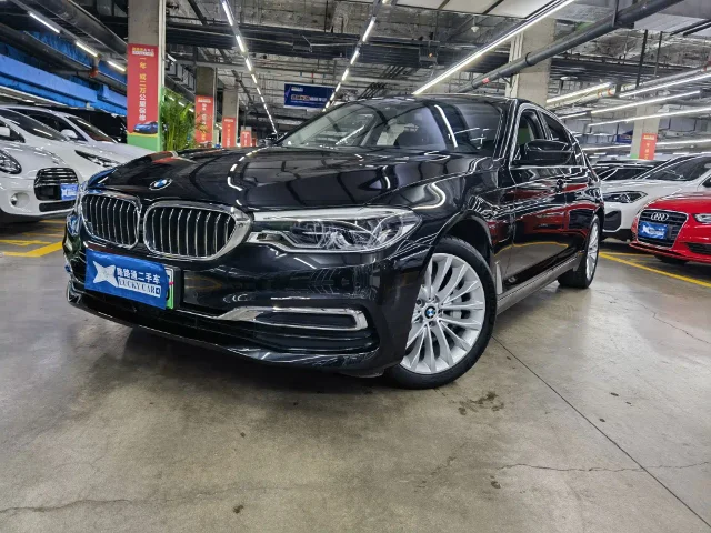 BMW 5 Series New Energy Mileage Upgrade Edition 530Le Pioneer Edition