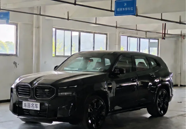 BMW XM Basic Type