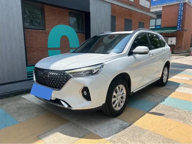 Haval M6 PLUS 1.5T DCT花生好车定制版