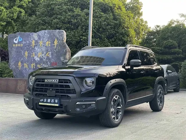 Haval Dargo 2.0T DCT Chinese Rural Dog Edition