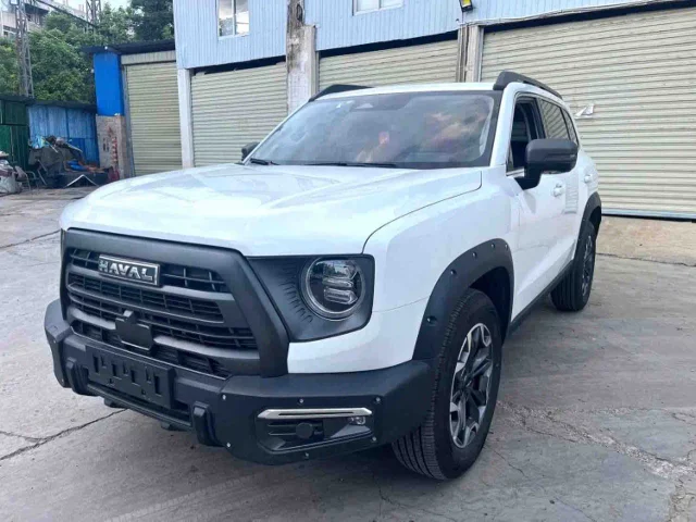Haval Dargo 2.0T DCT Chinese Rural Dog Edition