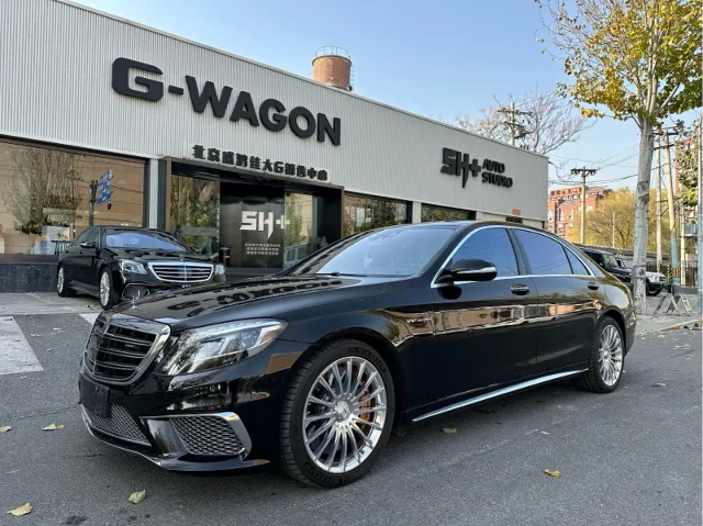 Mercedes-Benz S-Class AMG AMG S 65 L