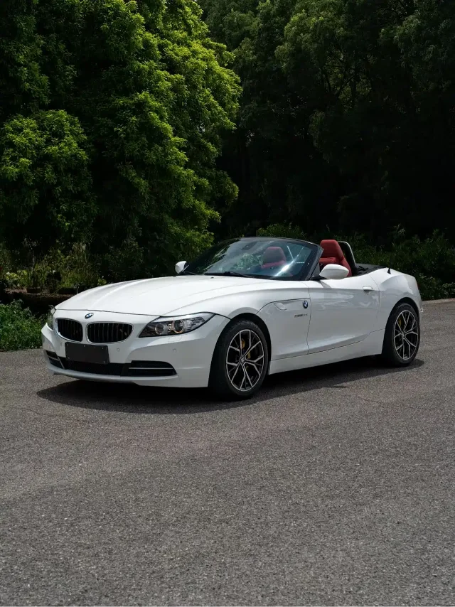 BMW Z4 sDrive20i Leading Type