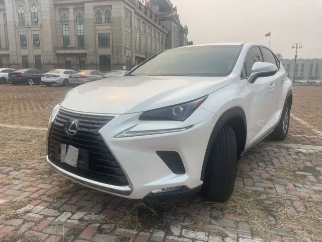 Lexus NX 200 FWD Edge Travel Edition China V