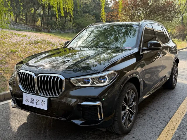 BMW X5 xDrive 30Li Premium Type M Sport Package