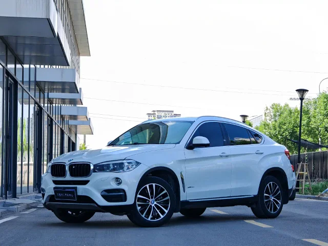 BMW X6 xDrive35i Leading Type