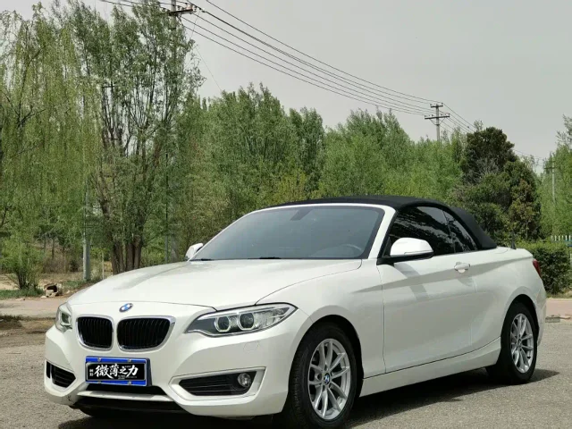 BMW 2 Series (Import) 218i Convertible Coupe