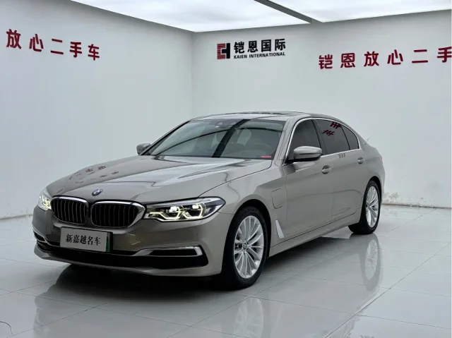 BMW 5 Series New Energy Facelift 530Le Luxury Package