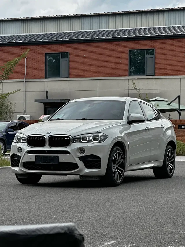 BMW X6 M X6 M