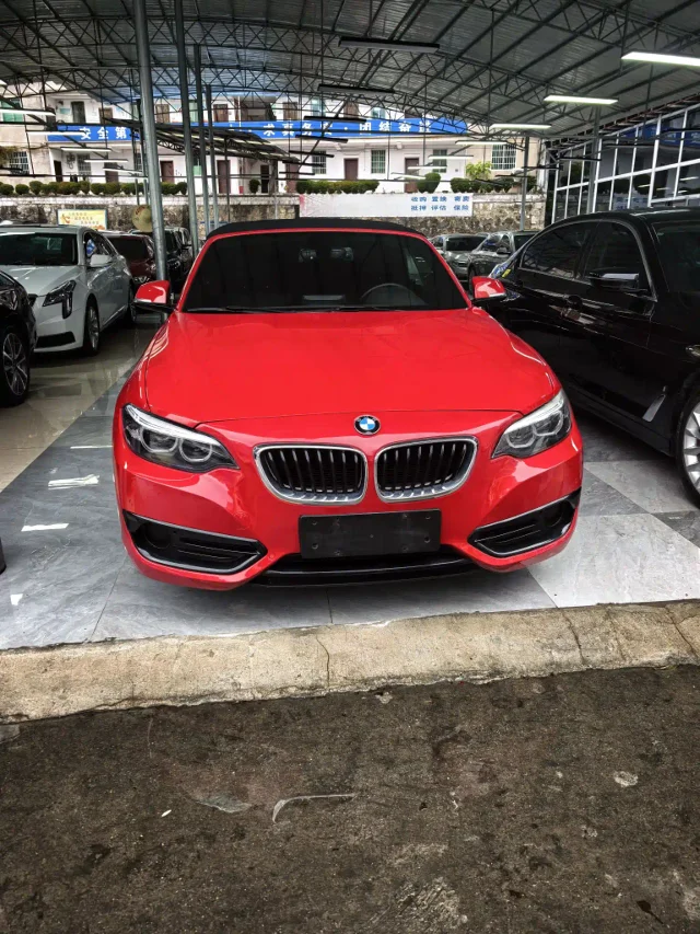 BMW 2 Series (Import) 220i Convertible Coupe Sport Design Package