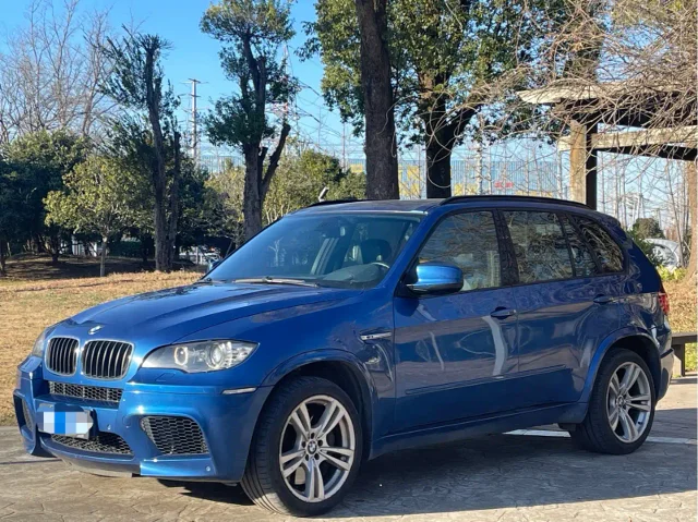 BMW X5 M X5 M