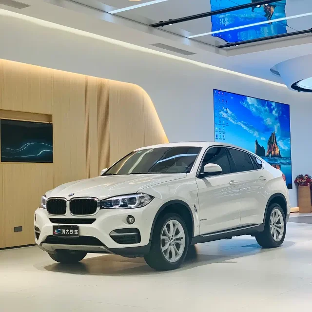 BMW X6 xDrive35i Leading Type
