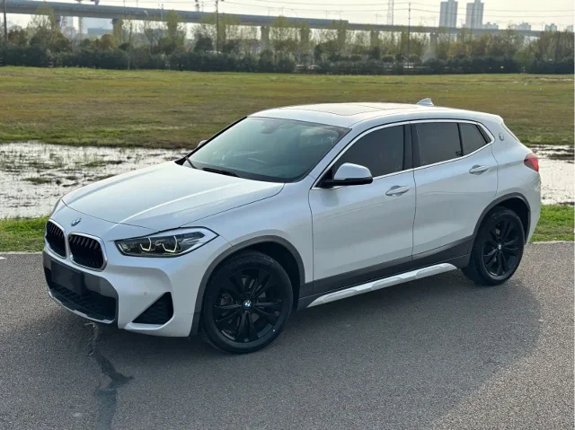 BMW X2 sDrive25i Leading Type M Offroad Package