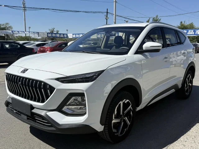 Sehol X8 300T Manual Panoramic Luxury Edition 5 seats