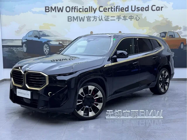 BMW XM Basic Type