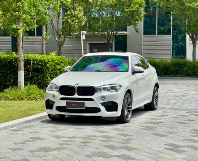 BMW X6 M X6 M
