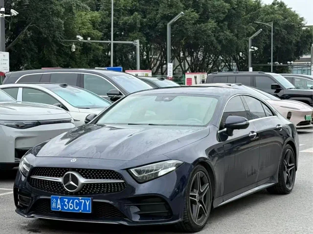Mercedes-Benz CLS CLS 300 Luxury Type