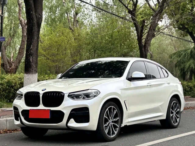 BMW X4 xDrive30i M Sport Package