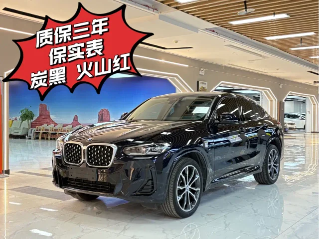 BMW X4 xDrive 30i M Sport Package