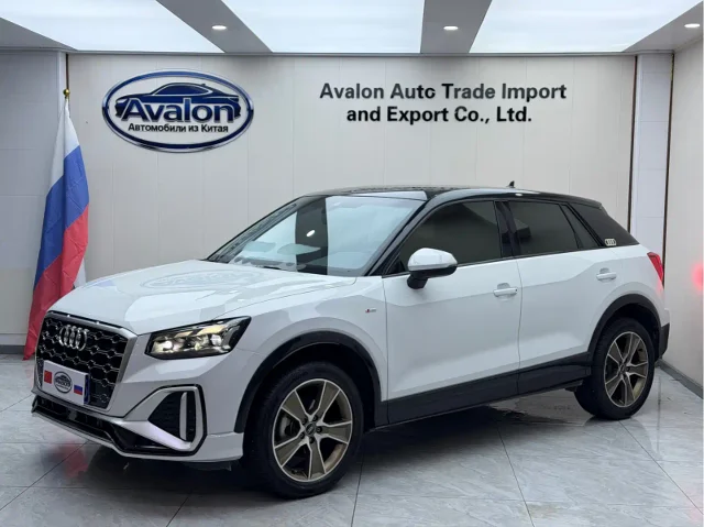 Audi Q2L 35 TFSI Fashion Dynamic Type