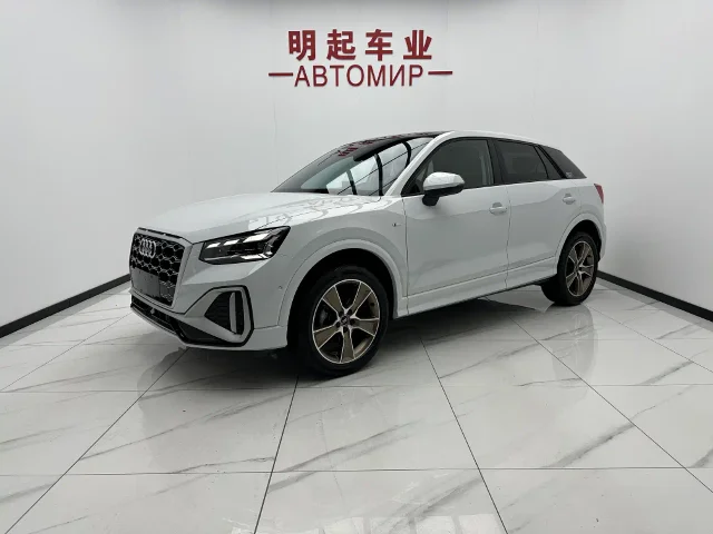 Audi Q2L 35 TFSI Fashion Dynamic Type