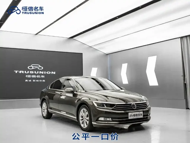 Volkswagen Magotan 330TSI DSG Luxury Type