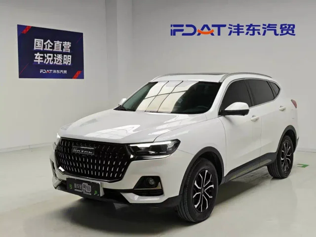 Haval H6 National Trend Edition 1.5T Auto Urban Edition