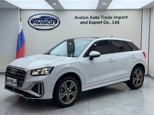 Audi Q2L 35 TFSI Fashion Dynamic Type