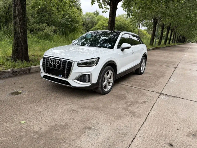Audi Q2L 35 TFSI Fashion Dynamic Type