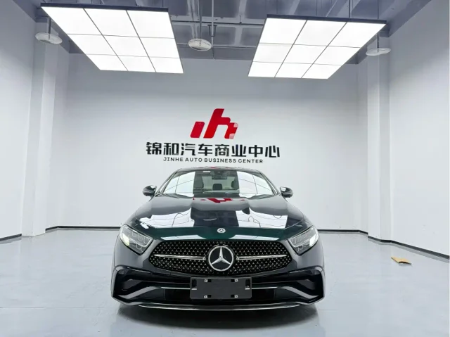 Mercedes-Benz CLS CLS 300 Dynamic Type