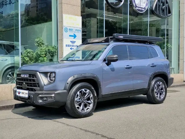 Haval Dargo 2.0T DCT Chinese Rural Dog Edition