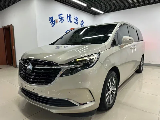 Buick GL8 ES LandKing 653T Premium Type