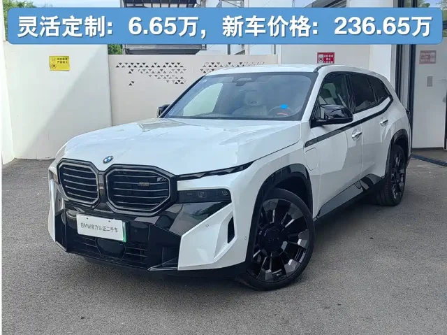 BMW XM Basic Type