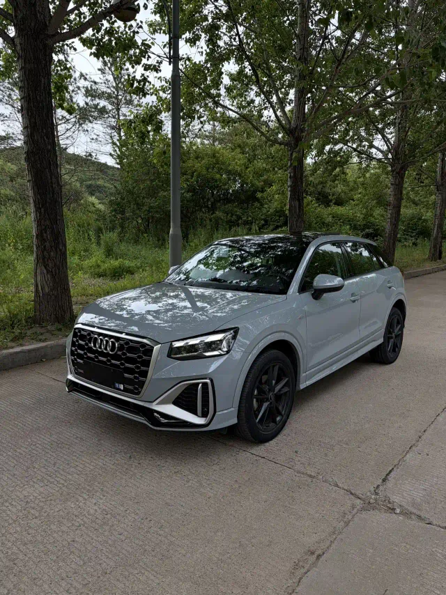 Audi Q2L 35 TFSI Fashion Dynamic Type