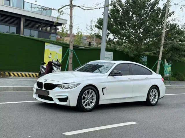 BMW 4 Series 420i Gran Coupe Progressive Type