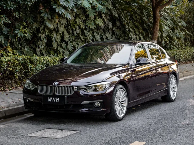 BMW 3 Series 320Li Fashion Type