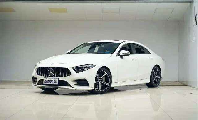 Mercedes-Benz CLS CLS 300 Luxury Type